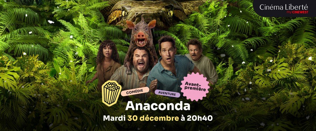 actualité AVP - Anaconda